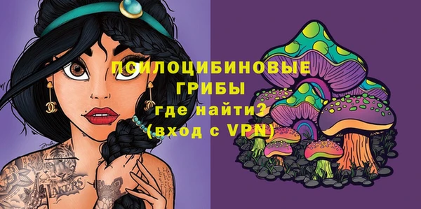 гашик Кукмор