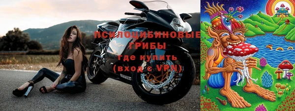 гашик Кукмор