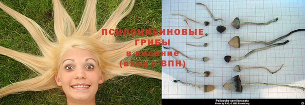 гашик Кукмор