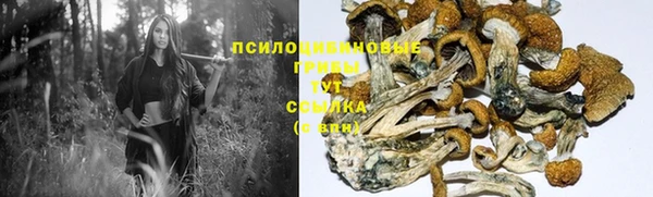 прущий лед Куйбышев